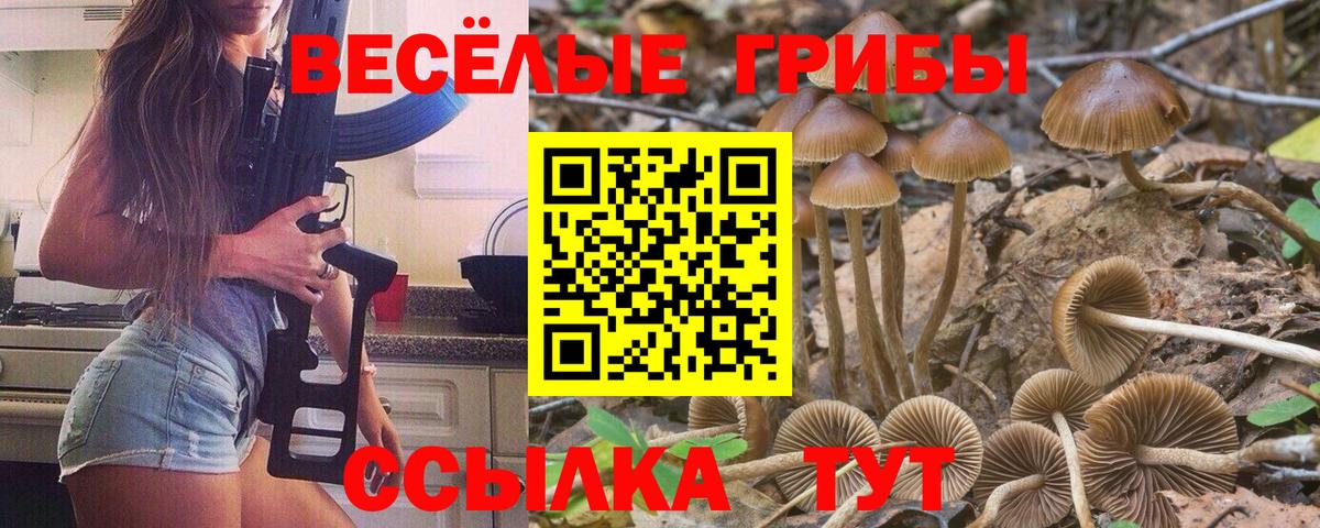 Галлюциногенные грибы Psilocybe  Псилоцибиновые грибы ЛСД  Мценск  Вход с VPN 